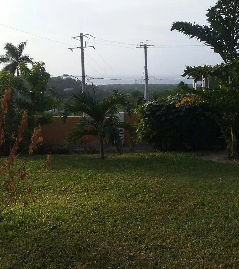 Daire Casa De La Rosa, St Ann Jamaica, West Indies Brissett Run