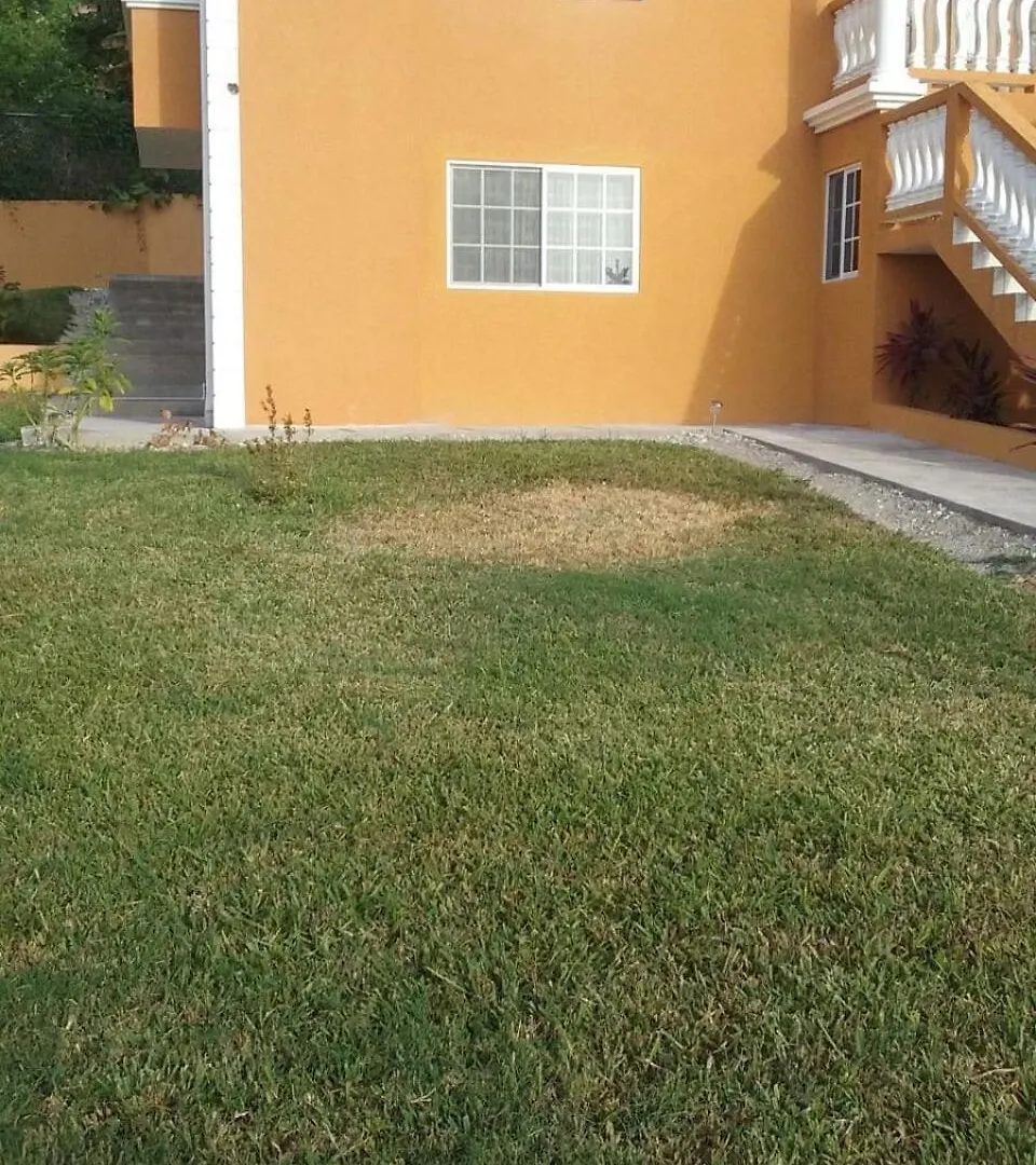 Daire Casa De La Rosa, St Ann Jamaica, West Indies Brissett Run Jamaika